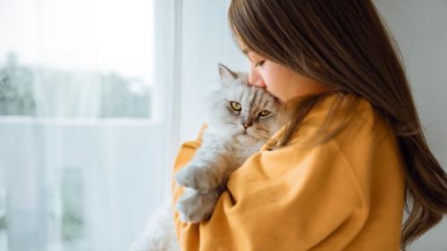 猫を抱く女性