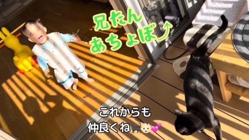 テロップ「これからも~」