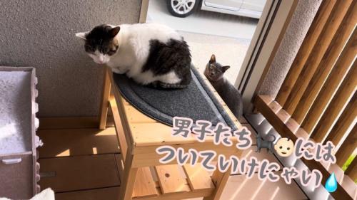 テロップ「男子たちには~」