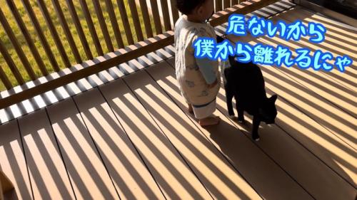 テロップ「危ないから~」