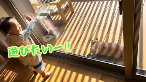 テロップ「遊びたいー!!」