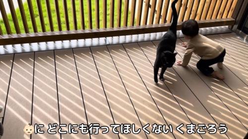 テロップ「赤ちゃん(絵文字)にどこにも~」