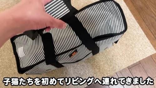 キャリーバッグを持っている人