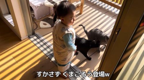テロップ「すかさず~」