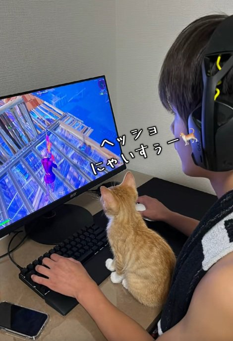 子供と一緒にゲームを見ている猫