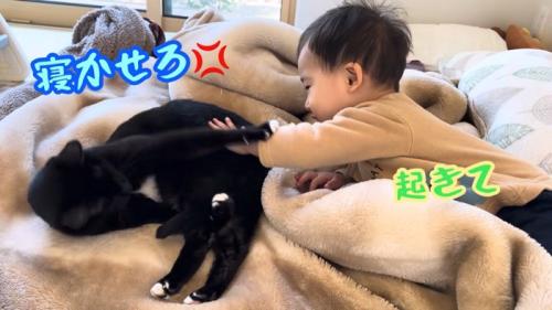 テロップ「寝かせろ」「起きて」