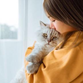 猫を嗅ぐと『いい匂い』がする3つの理由　お風呂に入っていないのになぜ？不思議な香りのヒミツをご紹介