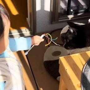赤ちゃんのそばを離れないネコ→まるでボディーガードのようで…微笑ましい日常の光景に「いいお兄ちゃん」「可愛すぎてほっこり」と反響