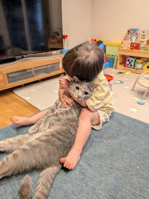 抱きしめられる猫