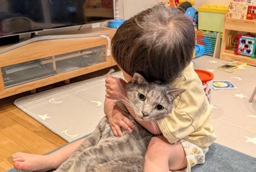 虚無顔の猫