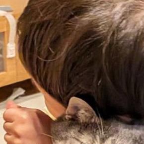 男の子に抱きしめられた猫→『表情』を見たら……笑ってしまう『まさかの光景』に１万いいね「愛が重すぎるのかｗ」「幸せなんだろうねｗ」