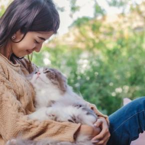 猫のことが大好きな『有名人』5選 愛猫家として知られるエピソードや活動内容などをご紹介