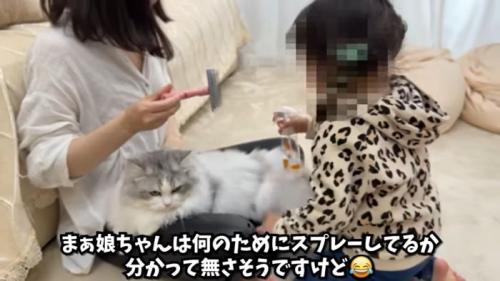 ブラッシングのお手伝い