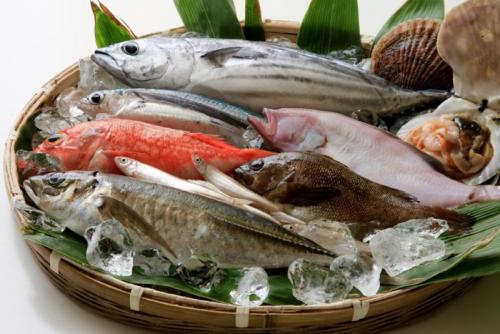 魚集合!