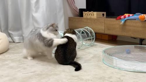パンチがすかっ
