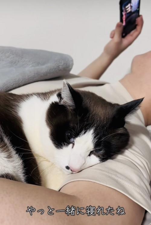 旦那さんと一緒に寝る保護猫