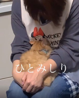 子猫を包み込むお母さん