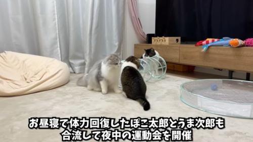 運動会開催