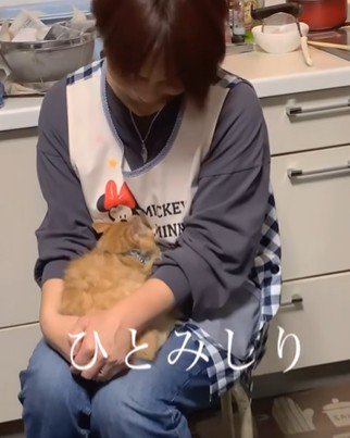 お母さんに顔を埋める子猫