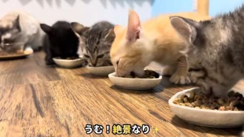 うむ!絶景なり