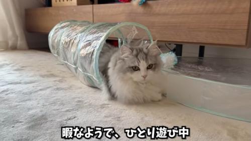 一人遊び満喫
