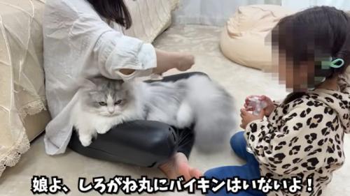 ブラッシングのお手伝い2
