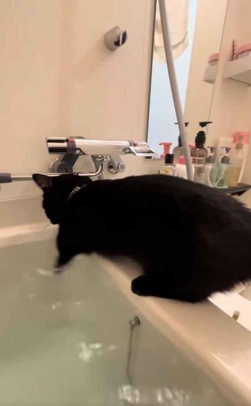 左前足をお湯につけているバスタブの縁に乗った黒猫