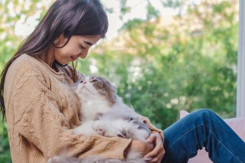 笑顔の女性に抱かれる猫