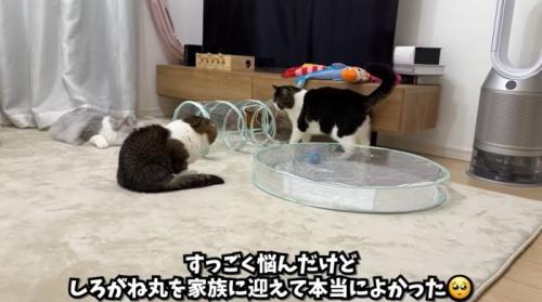 みんなで遊ぶ姿