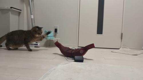 振りかぶって