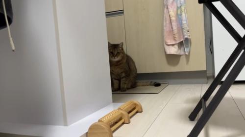 物陰