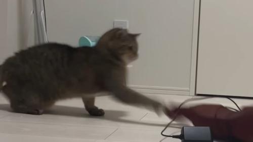 横からパンチ