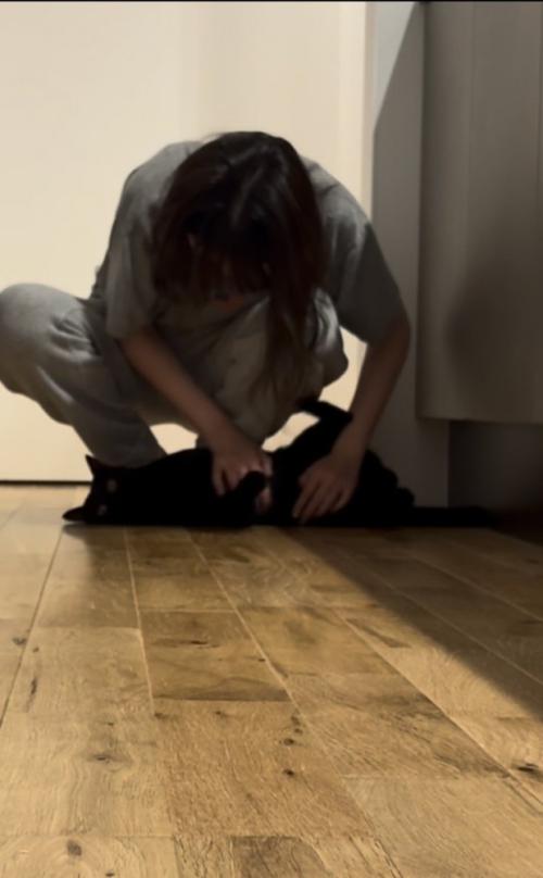 ママさんにお腹を撫でてもらう黒猫