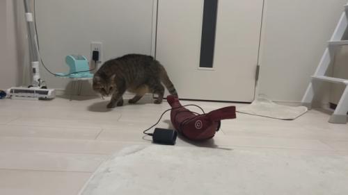 見つめながら歩いて