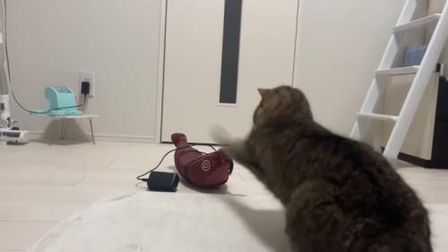 パンチする後ろ姿