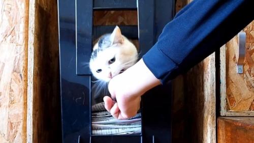 噛みつこうとする姿