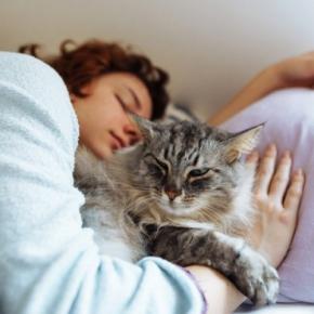 猫が飼い主の『腕の中で寝たがる』理由4つ 安心してくれている証?上手に対応するコツまで