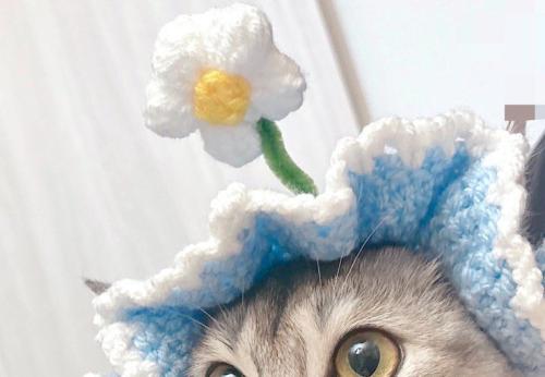 帽子の上についている花の飾り