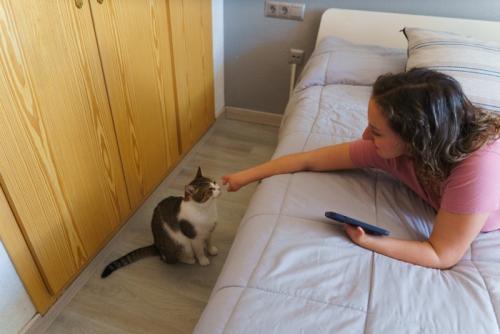 ベッドの下の猫