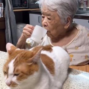 おばあちゃんが口をゆすごうとしたら、『目の前にいた猫』が…ハプニングの瞬間が178万再生「ラブラブすぎw」「電車で笑ってしまったw」