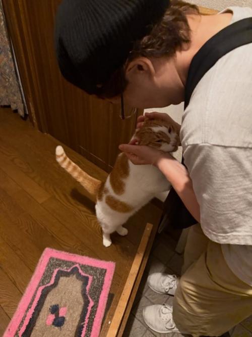 立ち上がってなでられる猫