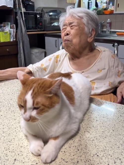 目をつむって上を向くおばあちゃん