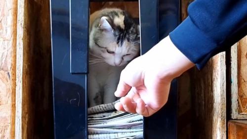 手を近づけて
