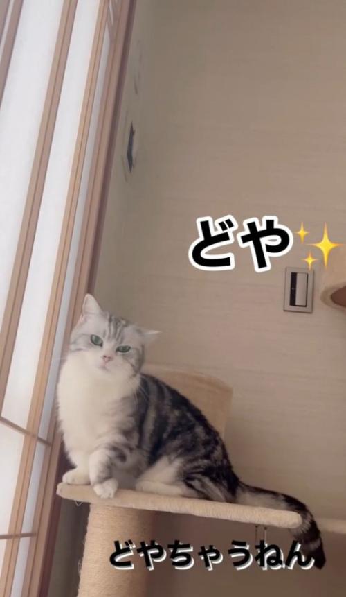 「どやちゃうねん」と書かれた写真