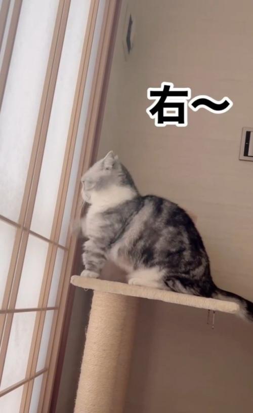 「右」と書かれた写真