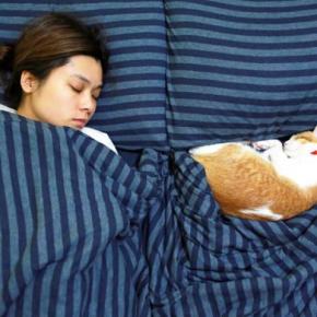 猫が飼い主に『おしりを向けて眠っている』ときの理由5つ どんな人が見られるの?隠されている心理も解説