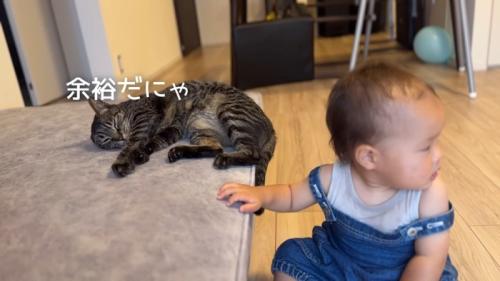 余裕だにゃ