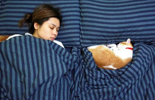 ベッドで寝る女性と猫
