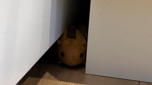 おもちゃのアップ