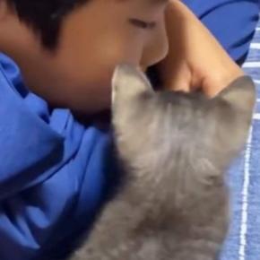 『大好きなお兄ちゃん』が帰ってくると…小さな子猫が見せた『可愛すぎる行動』に癒される人が続出「優しい光景」「しあわせそう〜」